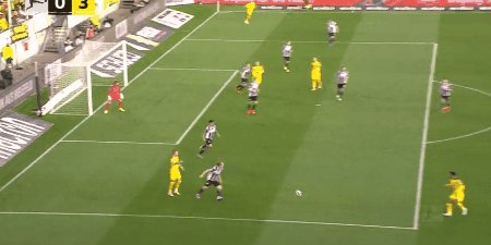 1635001680891055972.gif dsc dor 5.gif